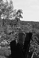 burnt down house 1_005